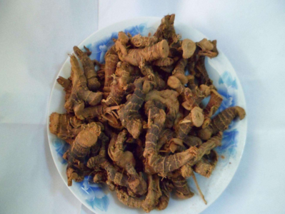 补气血的一些方法