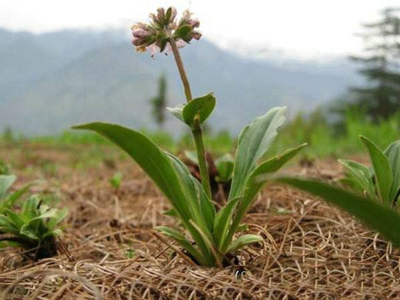 国家中医药局举办宣传贯彻中医药法培训