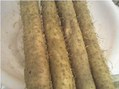 发冷赶快刺激阳池穴2