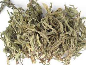 牛耳枫子的功效与作用