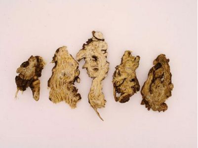 中医药防治三高学术会